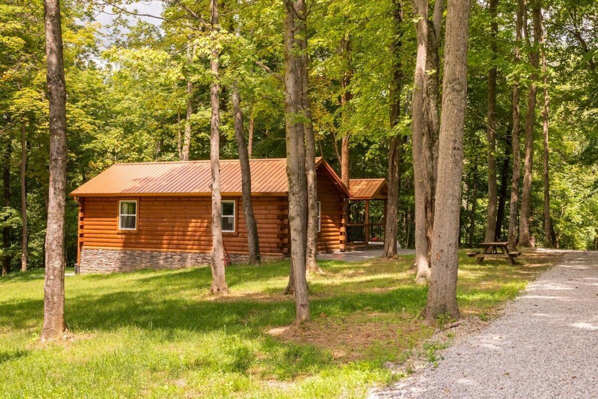 Secluded Wooded Cabin Near The Hocking Hills New Straitsville Exterior foto